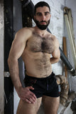 Breedwell Icon Pride Shorts