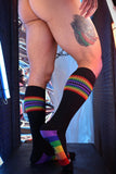 Breedwell Icon Pride Socks