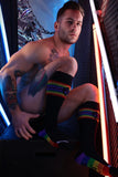 Breedwell Icon Pride Socks