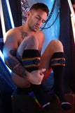 Breedwell Icon Pride Socks