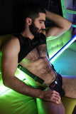 Breedwell Icon Pride Tank Harness