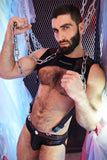 Breedwell Icon Pride Tank Harness