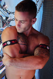Breedwell Illuminator Armbands