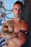 Breedwell Illuminator Armbands