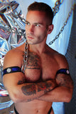 Breedwell Illuminator Armbands