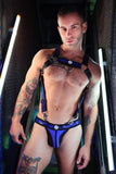 Breedwell Illuminator Body Harness
