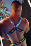 Breedwell Illuminator Bulldog Harness