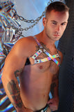 Breedwell Illuminator Bulldog Harness