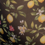 Addicted Lemon Garden Bikini Brief (AD1371)