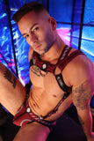 Breedwell Mister Luxe Body Harness