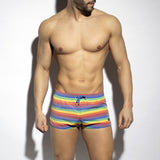 ES Collection Multi Striped Swim Shorts (2304)