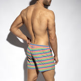 ES Collection Multi Stripe Swim Shorts (2505)