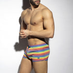 ES Collection Multi Striped Swim Shorts (2304)