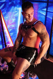 Breedwell Prismaglow Bulldog Harness