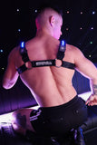 Breedwell Prismaglow Bulldog Harness