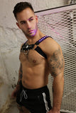 Breedwell Prismaglow Bulldog Harness