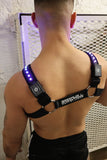 Breedwell Prismaglow Bulldog Harness