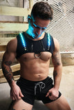 Breedwell Prismaglow Chest Harness