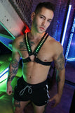 Breedwell Prismaglow Cross Harness