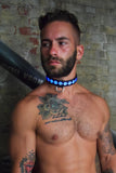 Breedwell Glow Pup Collar
