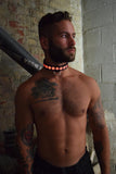 Breedwell Glow Pup Collar