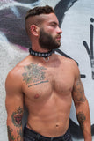 Breedwell Glow Pup Collar