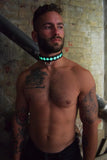 Breedwell Glow Pup Collar