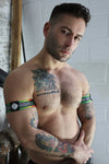 Breedwell Pure Pride Armbands