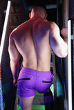 Breedwell Trade Trainer Shorts