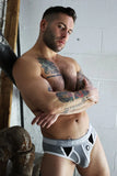 Breedwell Retro Remix Briefs