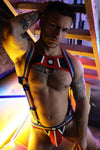 Breedwell Retro Remix Harness