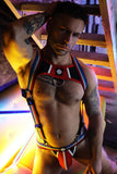 Breedwell Retro Remix Harness