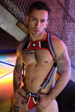 Breedwell Retro Remix Harness