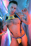 Breedwell Retro Remix Harness