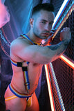 Breedwell Retro Remix Harness