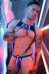Breedwell Retro Remix Harness