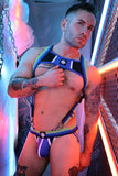 Breedwell Retro Remix Harness