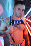Breedwell Retro Remix Harness