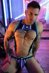 Breedwell Retro Remix Harness