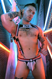Breedwell Retro Remix Harness