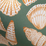 Addicted Seashell Swim Bikini Brief (ADS396)