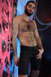 Breedwell Stud Shorts