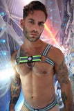 Breedwell Sweat & Sin Bulldog Harness