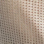 ES Collection WYSIWYG Bermudas (SP346)