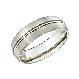 Titanium Ring (TR2)