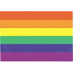 Rainbow Flag Magnet