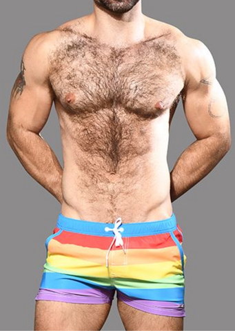 Andrew Christian Pride Stripe Swim Shorts (7931)