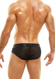 Modus Vivendi V. Fluid Brief (10114)