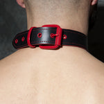 Addicted Leather Collar (ADF44)