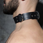 Addicted Leather Collar (ADF44)